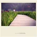 dailyPhoto6
